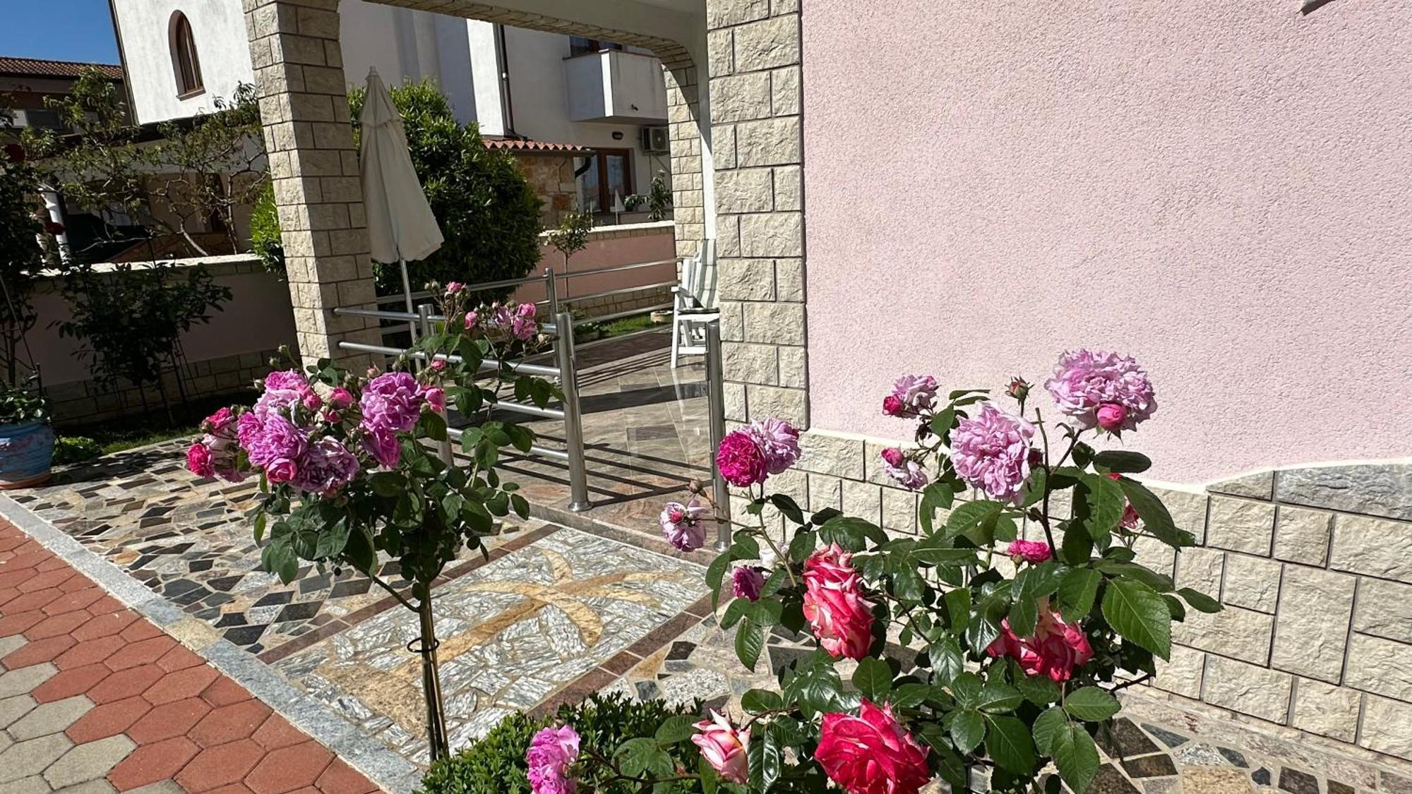 Villa Baldi -Apartmani Danny Tar-Vabriga Exterior photo